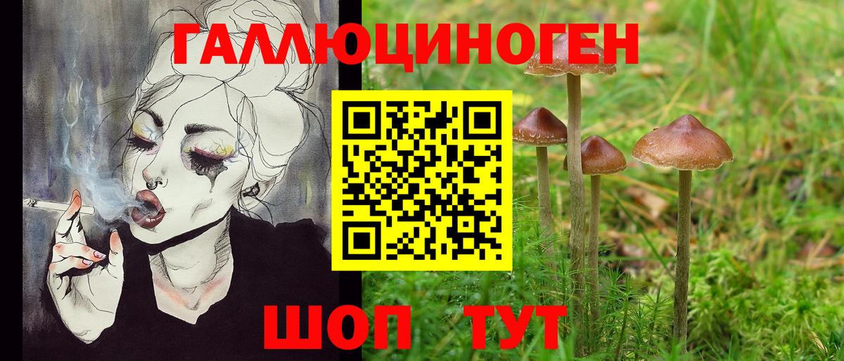 Элиста  Галлюциногенные грибы MAGIC MUSHROOMS  Вход с VPN 