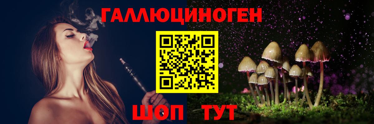 Псилоцибиновые грибы мицелий Элиста